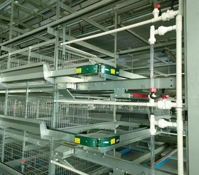 H-type-battery-cage-for-layers H type battery cage for layers
