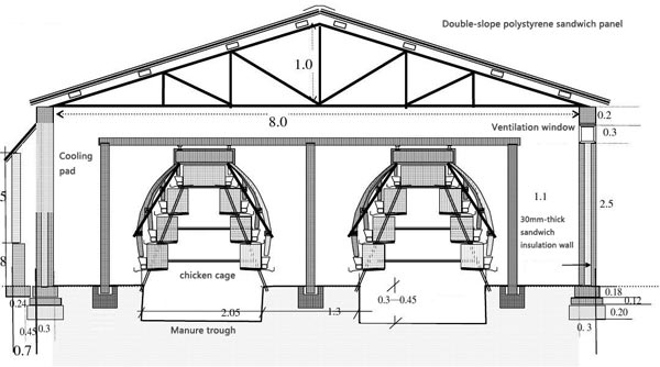 automated battery cage system 5000 chicken