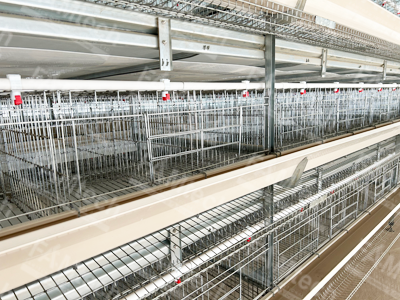 battery-cage-for-hen battery cage for hen