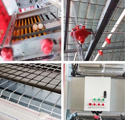 battery-cage-for-layer battery cage for layer