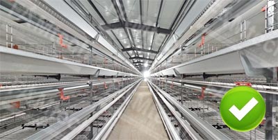 battery-cage-system-hen battery cage system hen