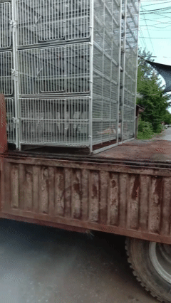 chicken cages for transport