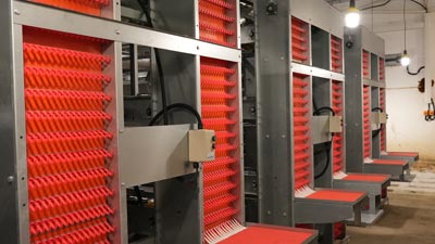 egg-collection-battery-system egg collection battery system