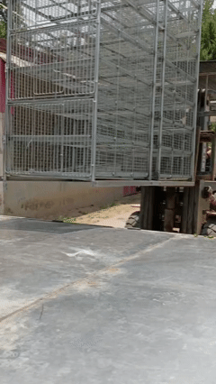 poultry cages for transport