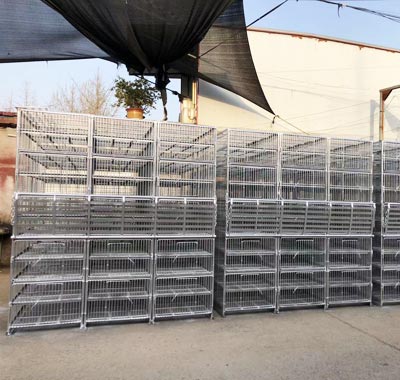poultry cages for transport