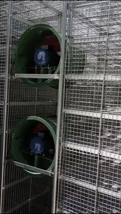 poultry transport cages