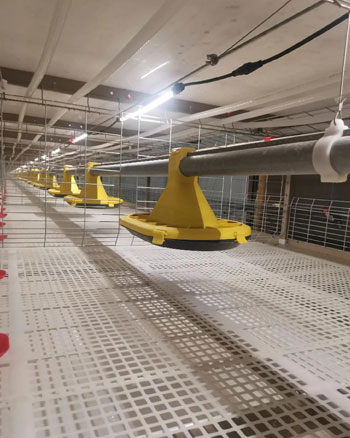 cage-battery-system-for-sale