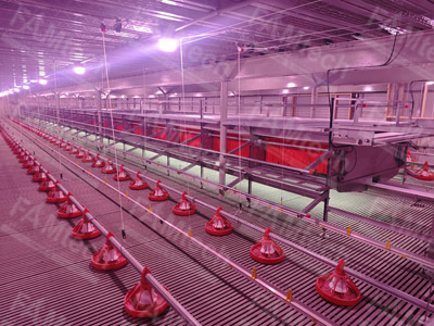 aviary poultry systems casein usa