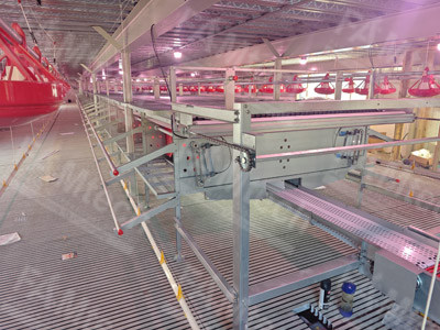 cage free aviary system case