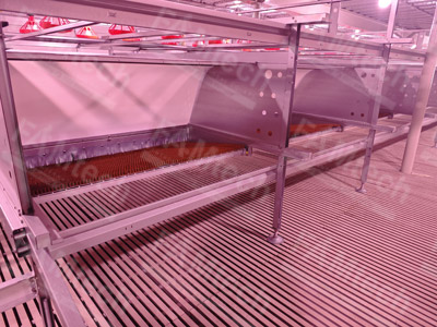 cage free aviary system