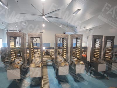 egg grading machine supplier